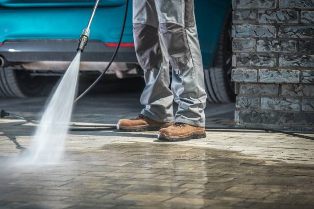 Best Winterizing Services  in Farley, IA