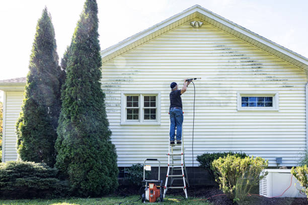 Best Patio and Deck Pressure Washing  in Farley, IA